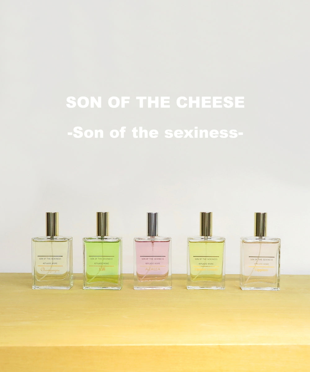SON OF THE CHEESE -Son of the sexiness- – HYBRYDS ONLINE