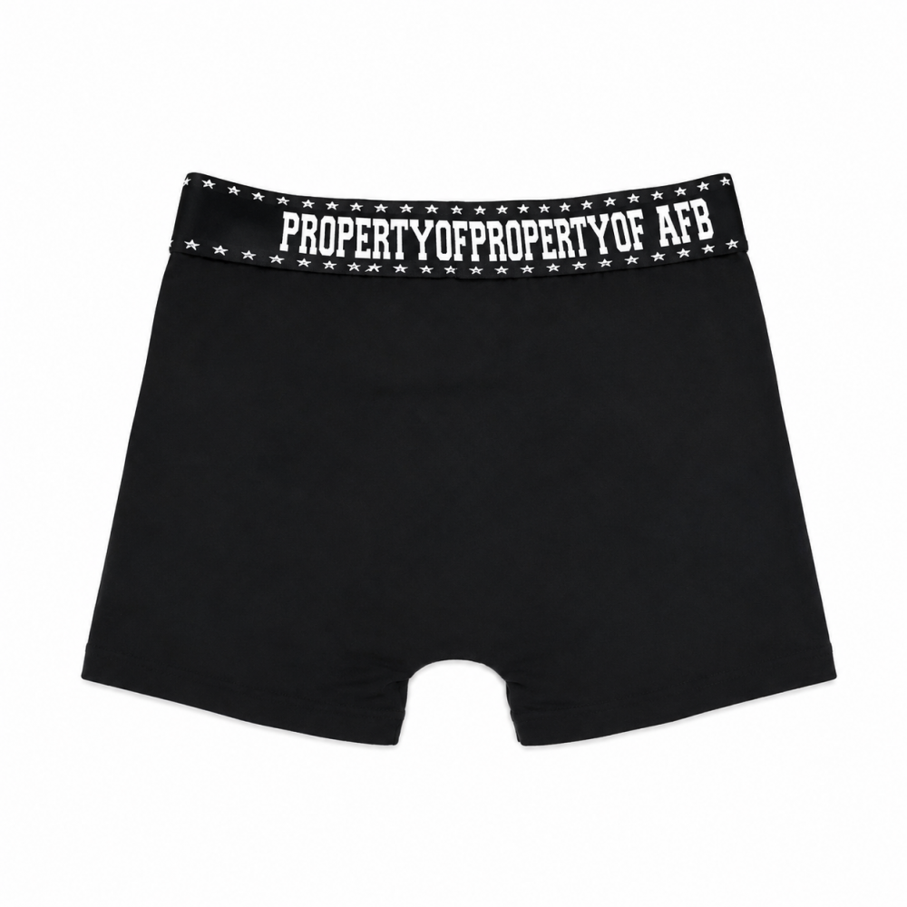 2P AFB BOXER BRIEFS