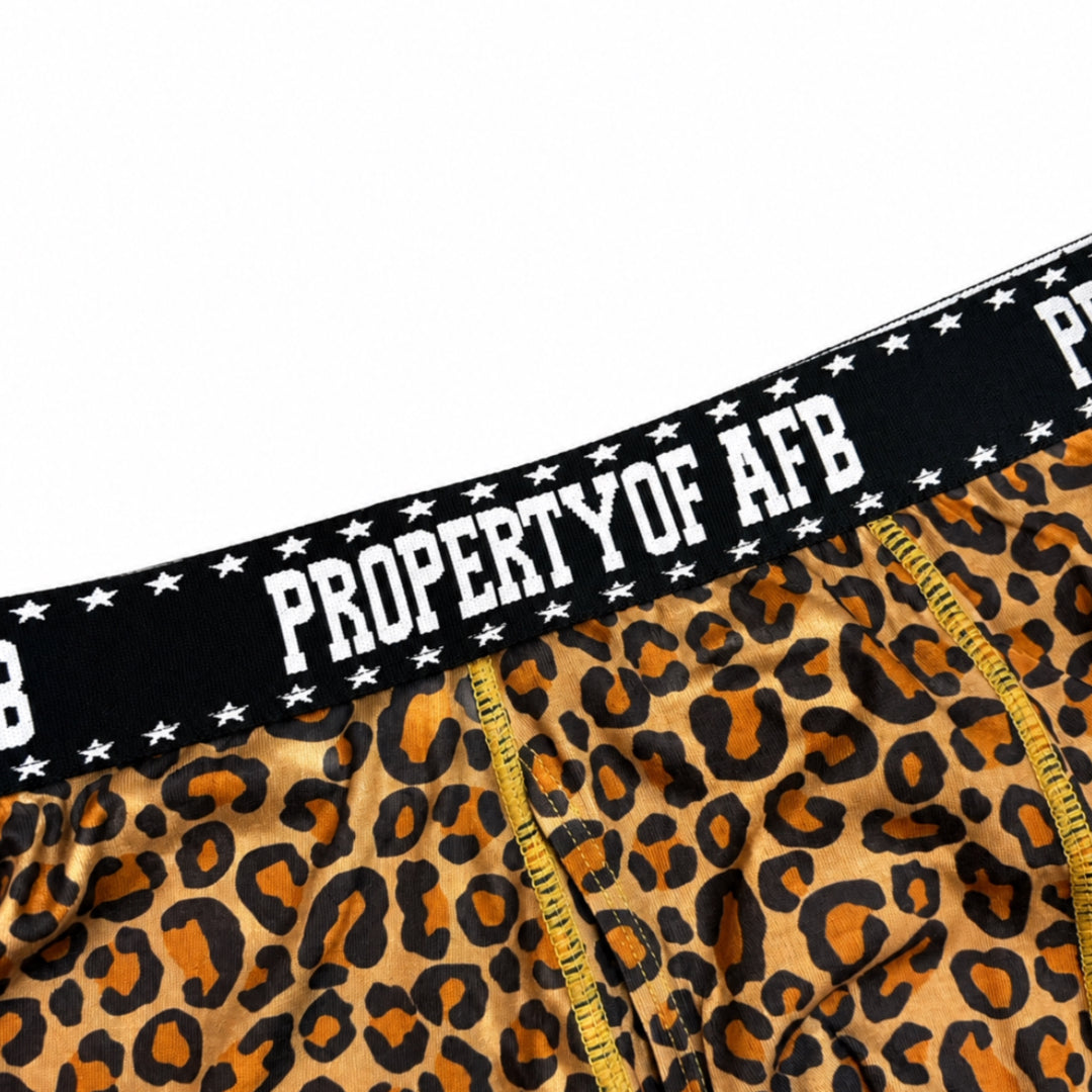 2P AFB BOXER BRIEFS
