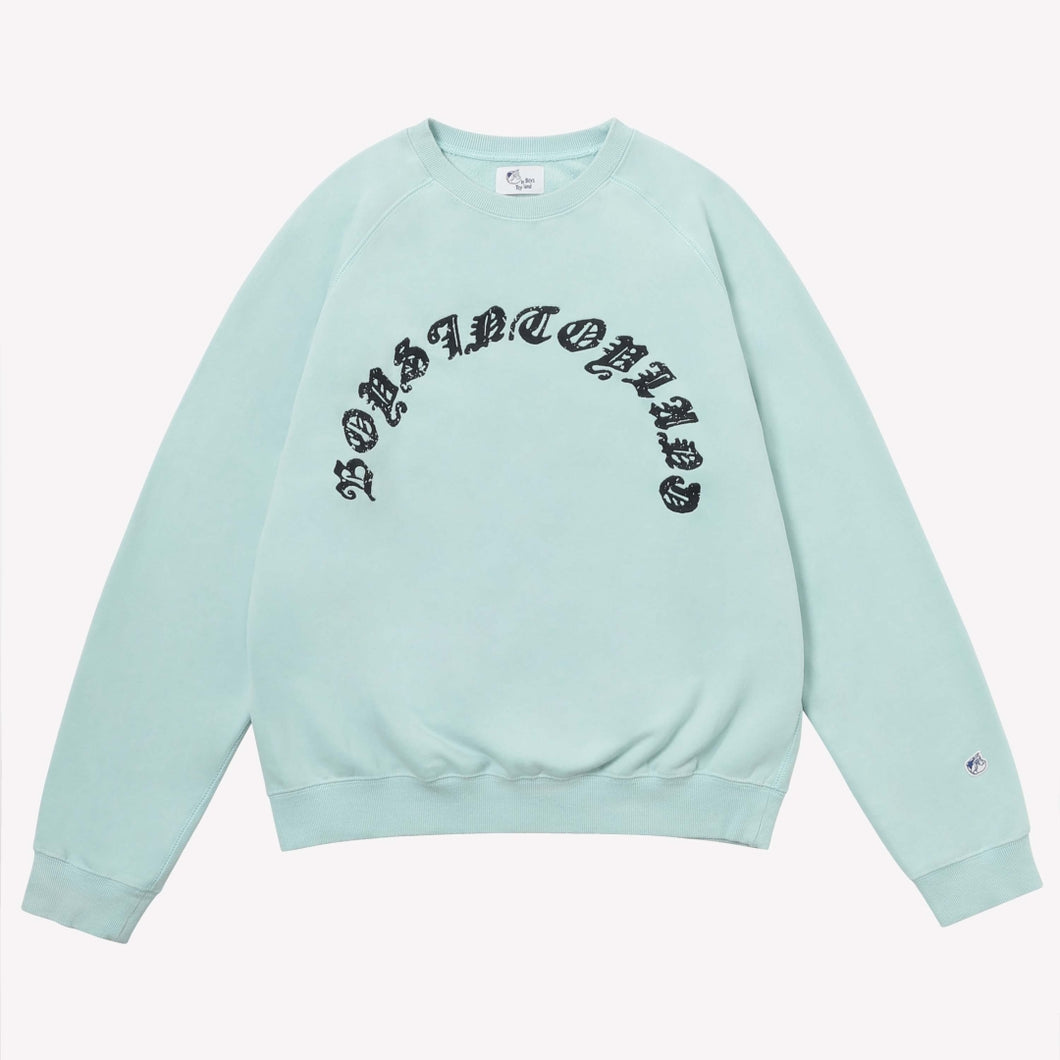 BOYS IN TOYLAND GRAPHIC RAGLAN SWEAT (Blue) HYBRYDS ハイブリッズ