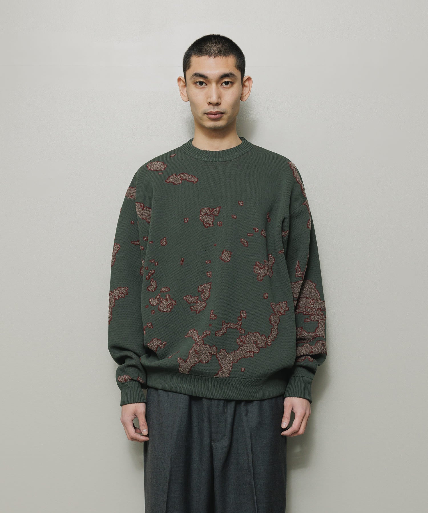 JACQUARD COTTON CREWNECK SWEATER
