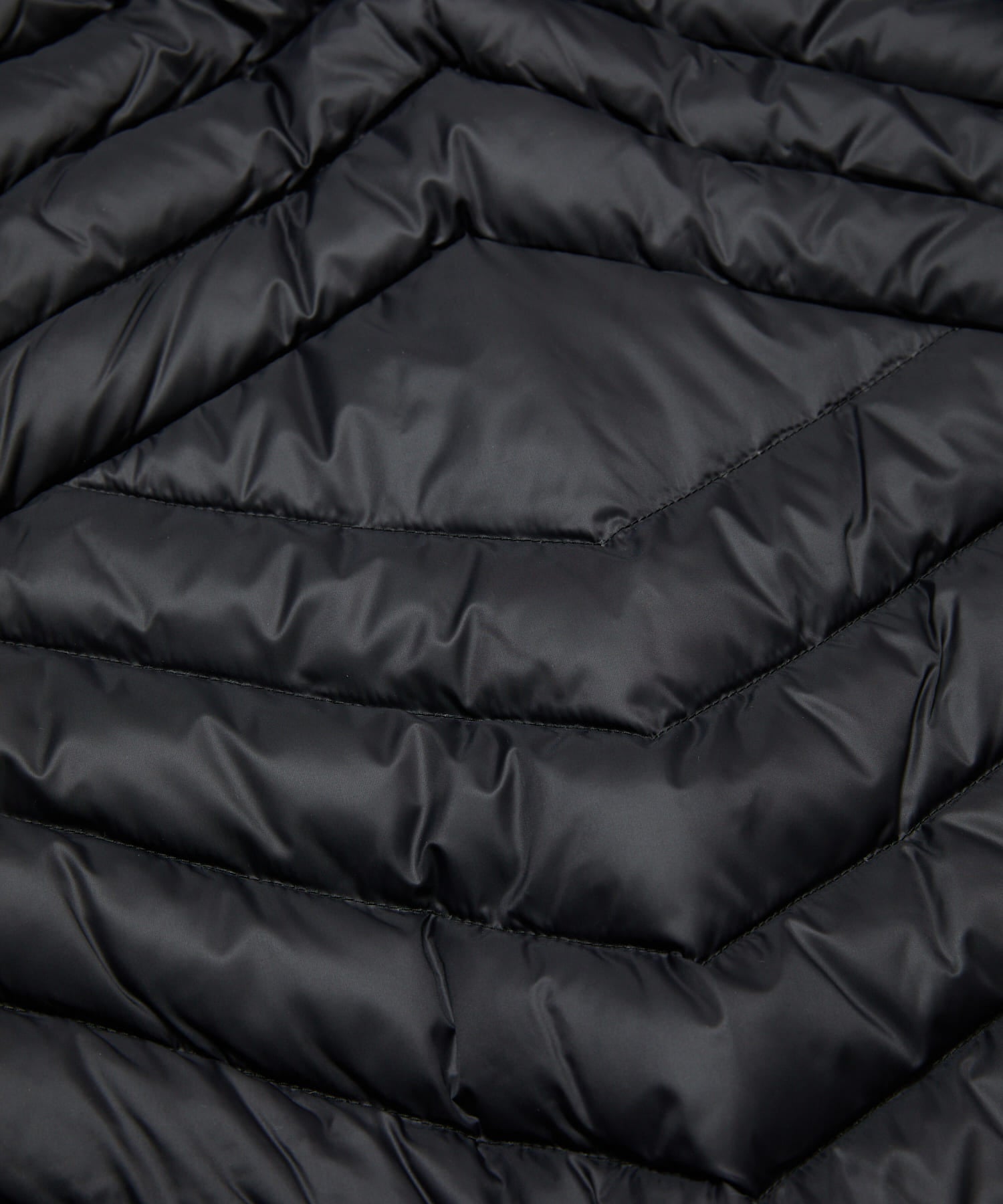 BAL / TAION STAND COLLAR DOWN JACKET