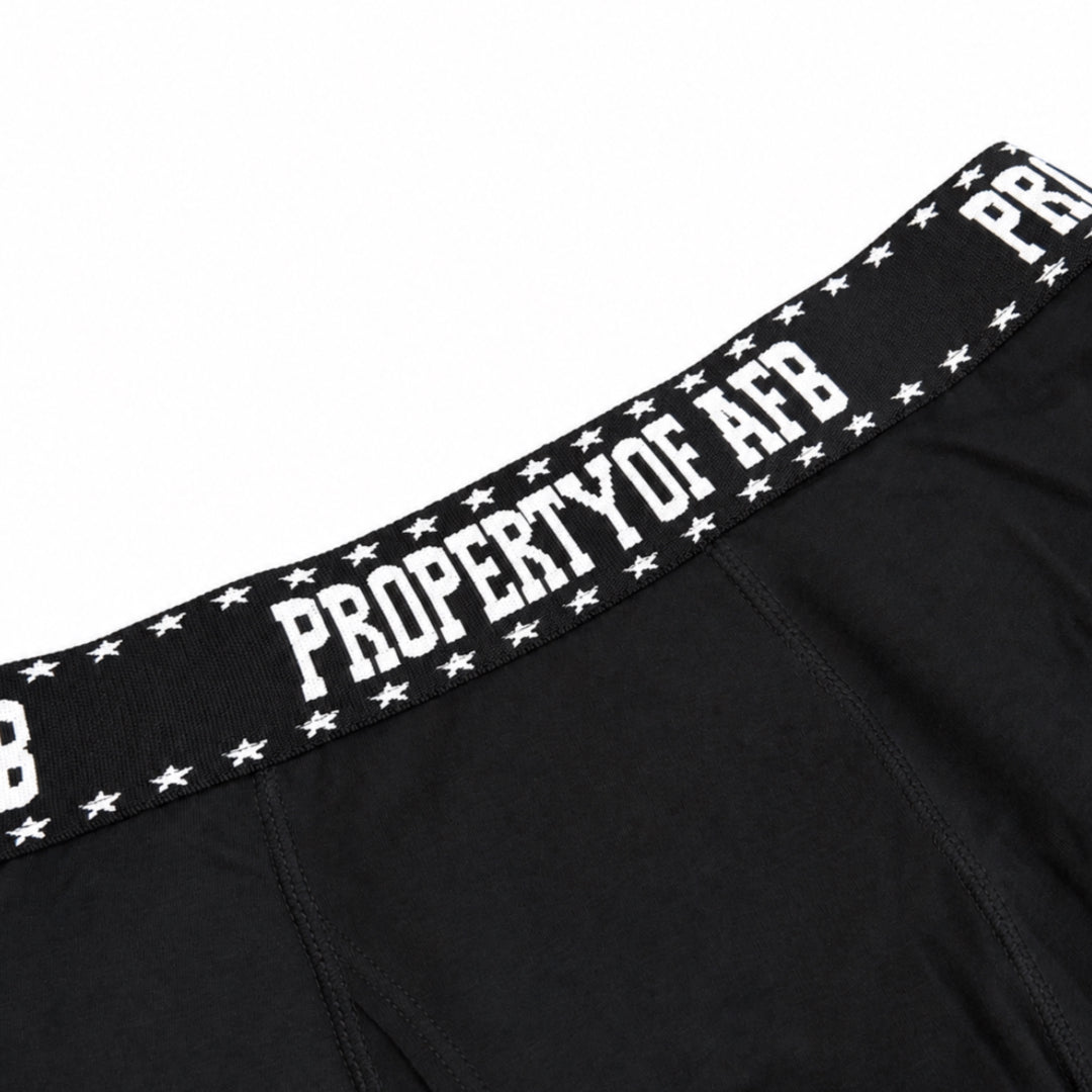 2P AFB BOXER BRIEFS