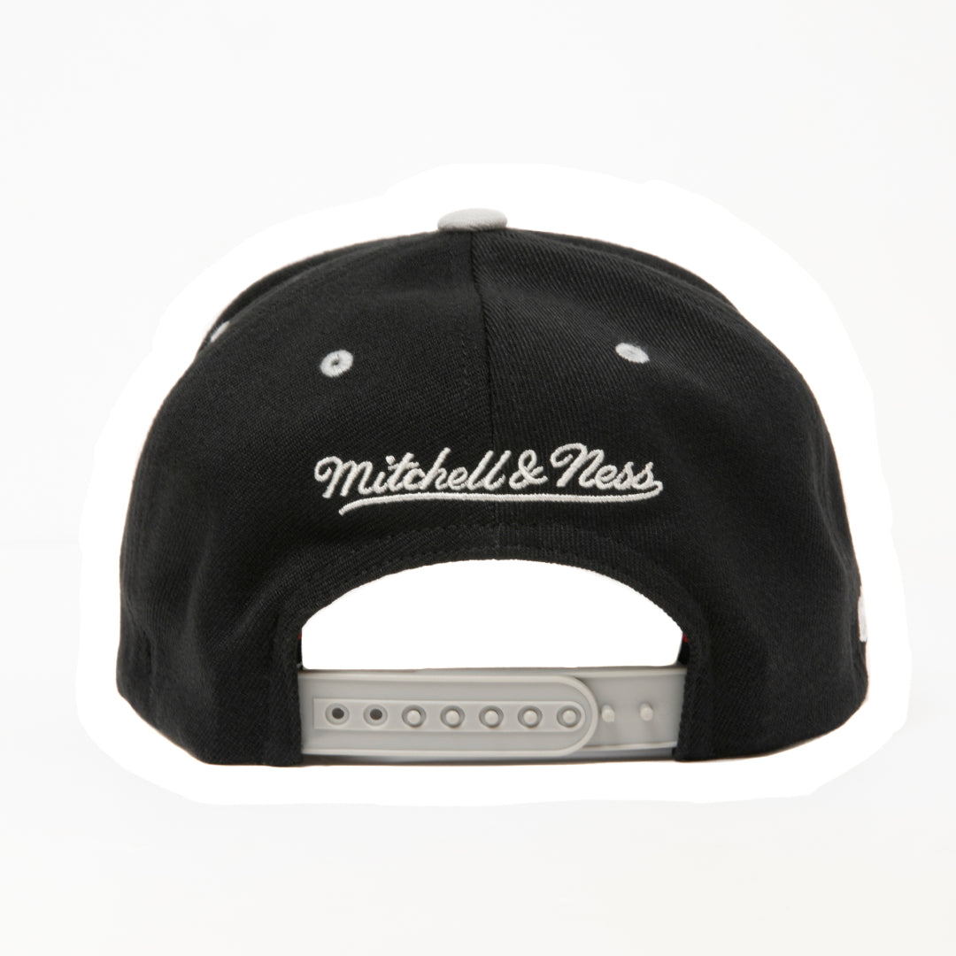 6 PANEL STRETCH SNAPBACK CAP