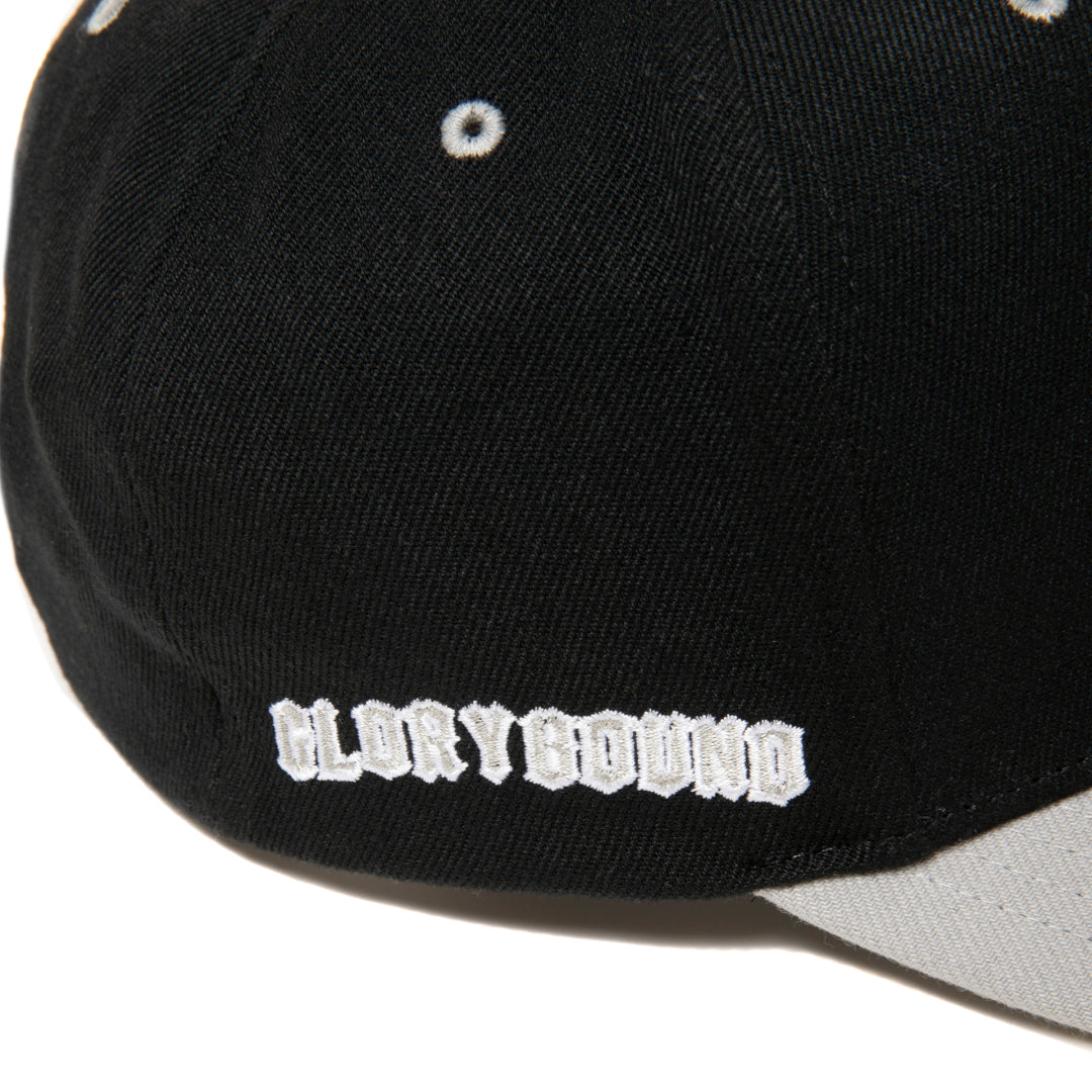 6 PANEL STRETCH SNAPBACK CAP