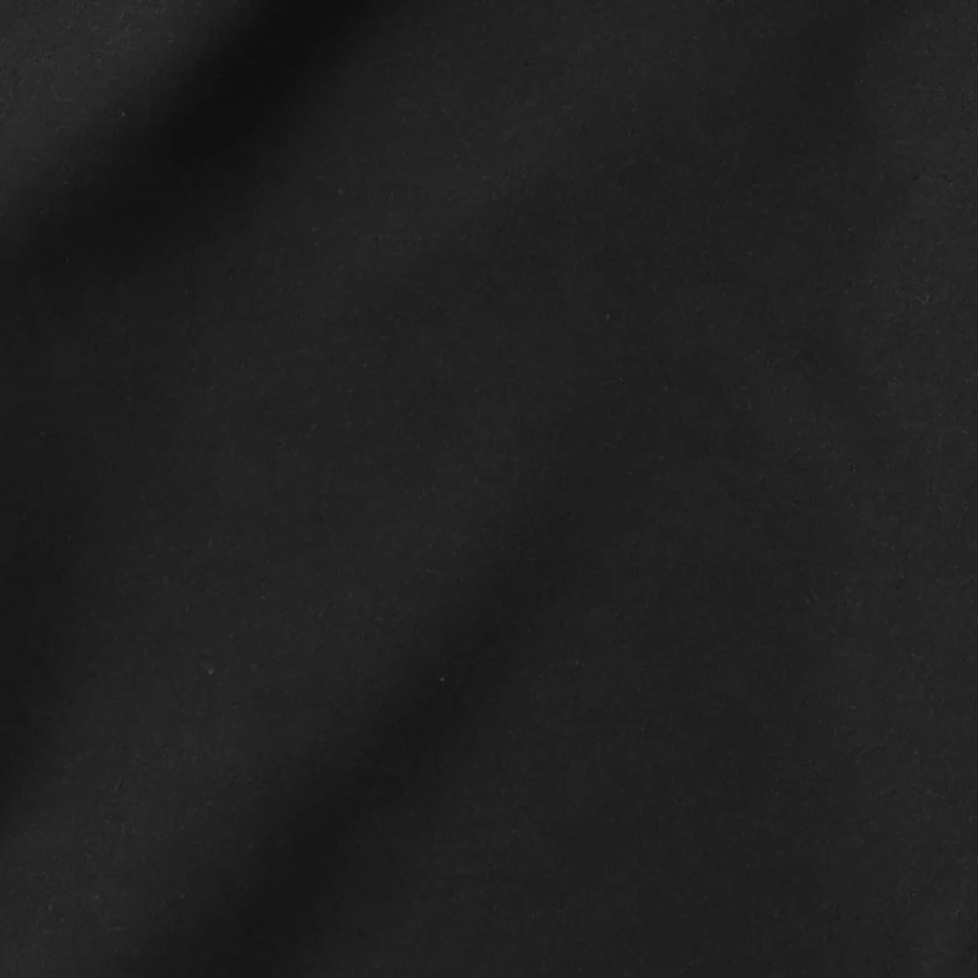 TWO TUCK S WOOL PANTS