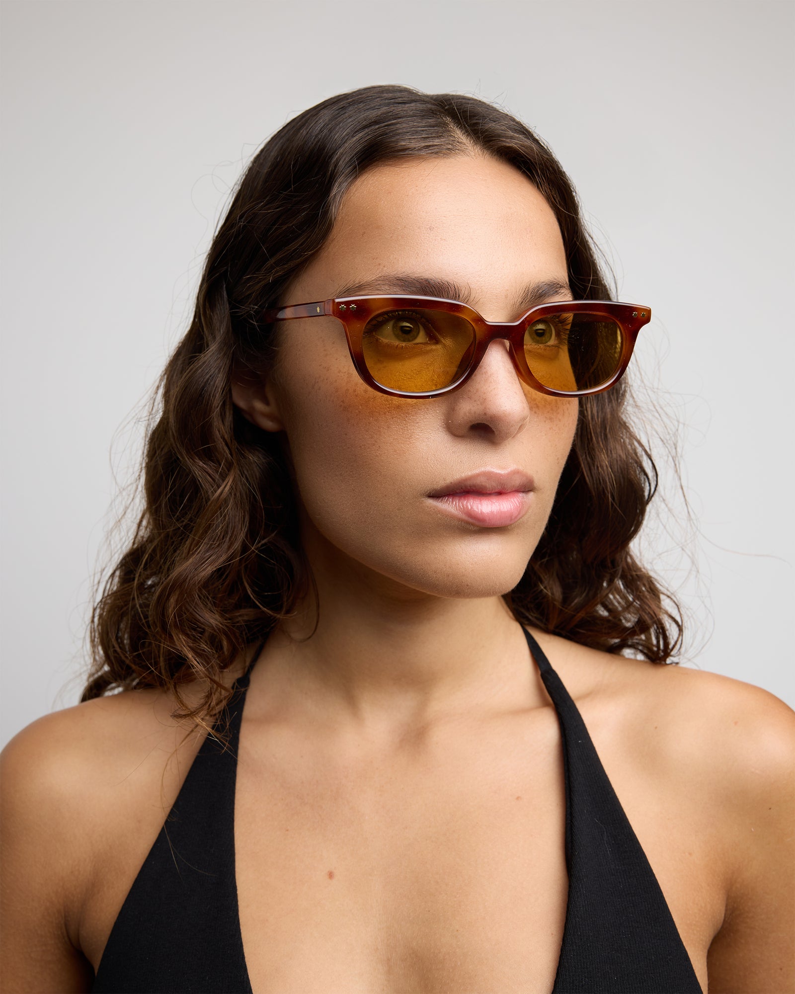 bates (maple tortoiseshell / caramello)